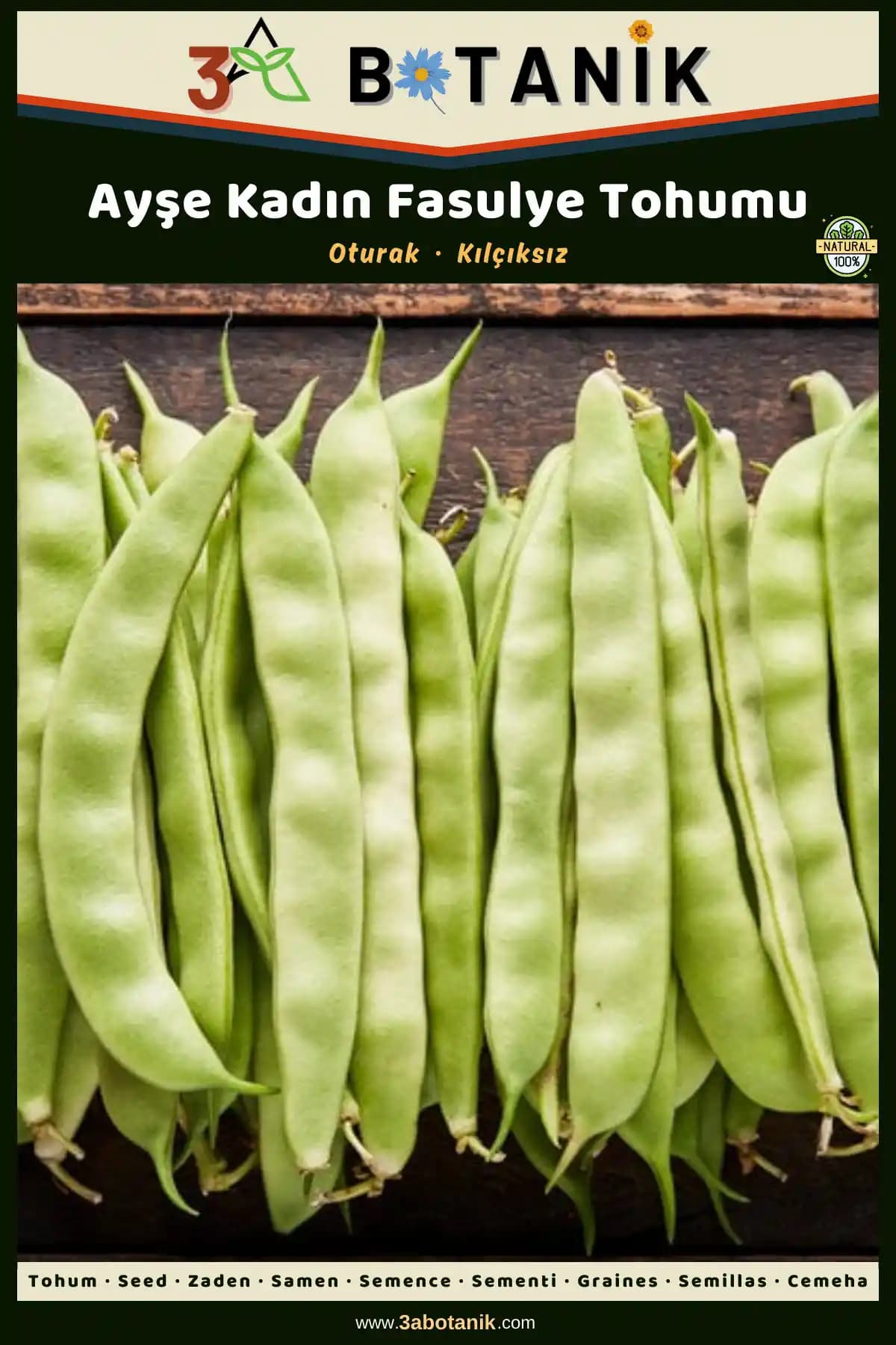 3A BOTANİK Ayşe Kadın Fasulye Tohumu: Organik ve Sürdürülebilir Tarım İçin Uygun Seçenek