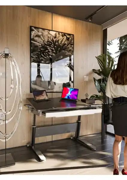 Creo Mobili Sirius Basic ve Standart Ergonomik Çalışma Masaları Karşılaştırması