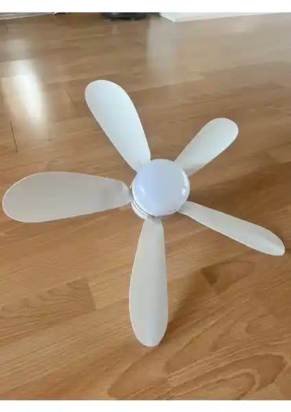 Kana Ensun Fanlight Sinek Kovuculu Tavan Vantilatörü: Çok Fonksiyonlu Hava Düzenleyici Özellikleri ve Kullanım Alanları