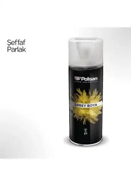 Polisan Parlak Vernik ve Selsil Sprey Boya Karşılaştırması: Özellikler ve Kullanıcı Yorumları