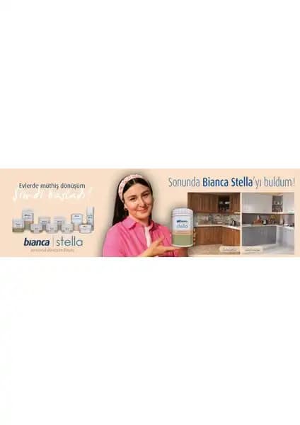 Bianca Stella Su Bazlı Akrilik Boya ve Saf Akrilik Boya Karşılaştırması 500 ml ürünleri 2
