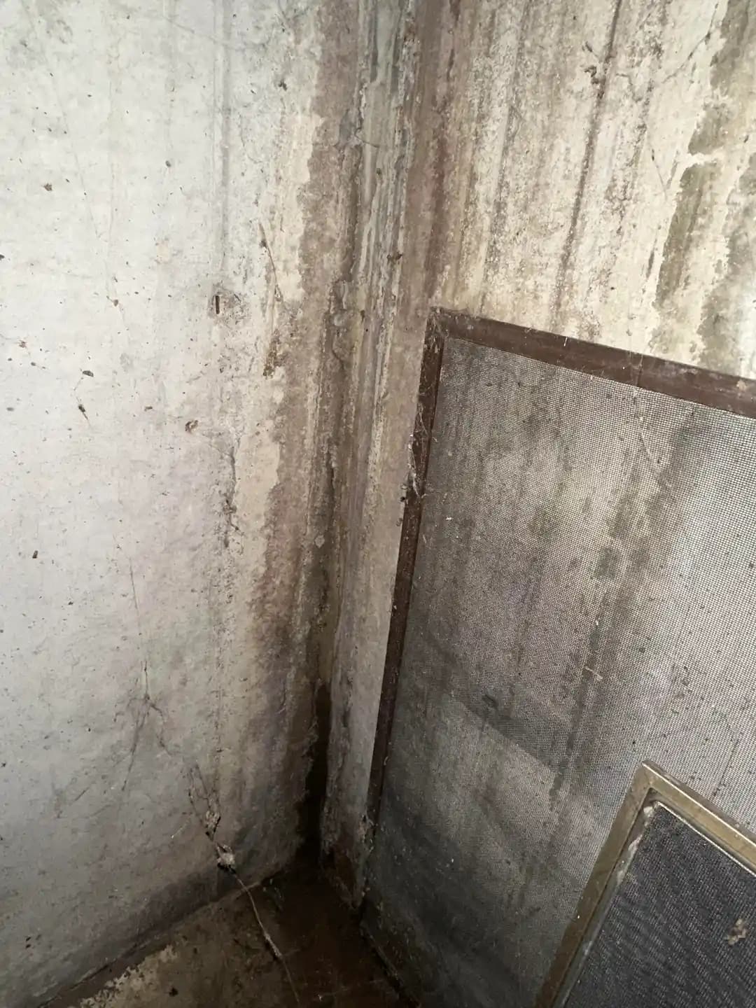 Bodrum Katında Su Sızıntısı ve Yapısal Sorunların Kapsamlı Onarımı ve Finansal Yönetimi