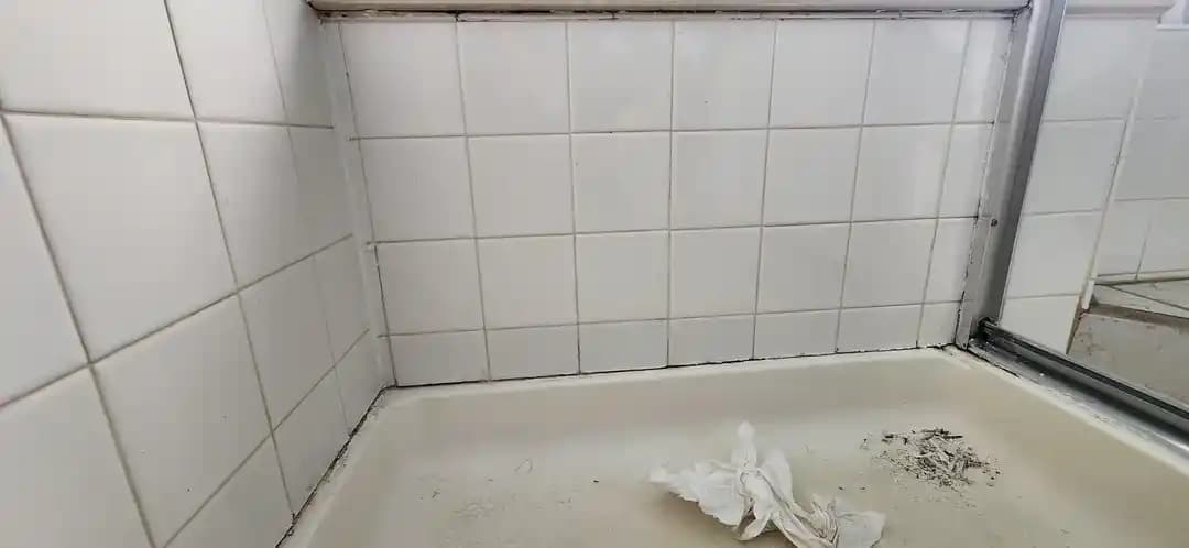 Duşta Siyah Küf Sorunu: Temizlik, Önlemler ve Fayansların Durumu Hakkında Bilgi