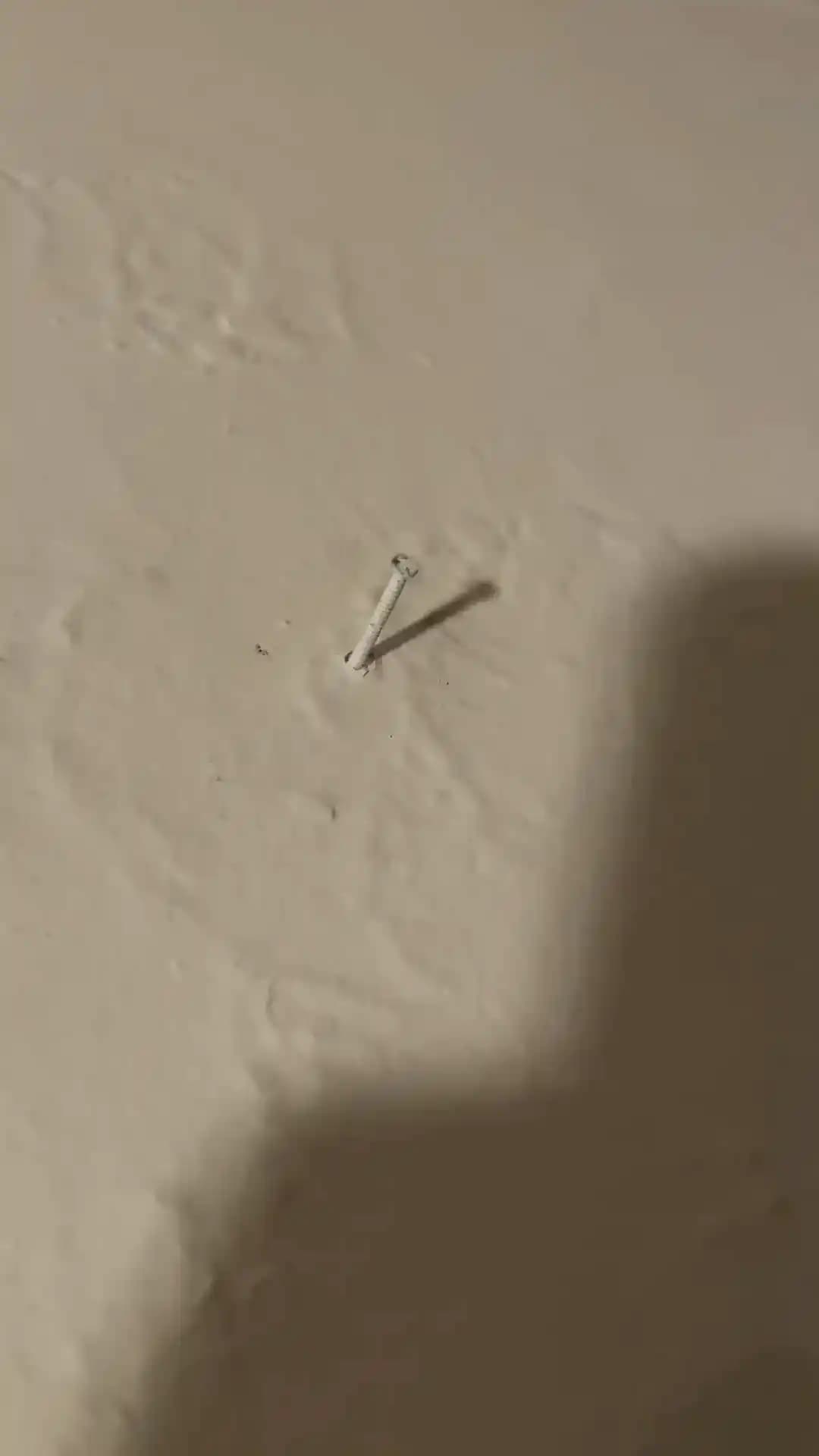 Duvara Çivi Çakarken Duyulan "Thunk Thunk" Seslerinin Nedenleri ve Çözüm Yöntemleri