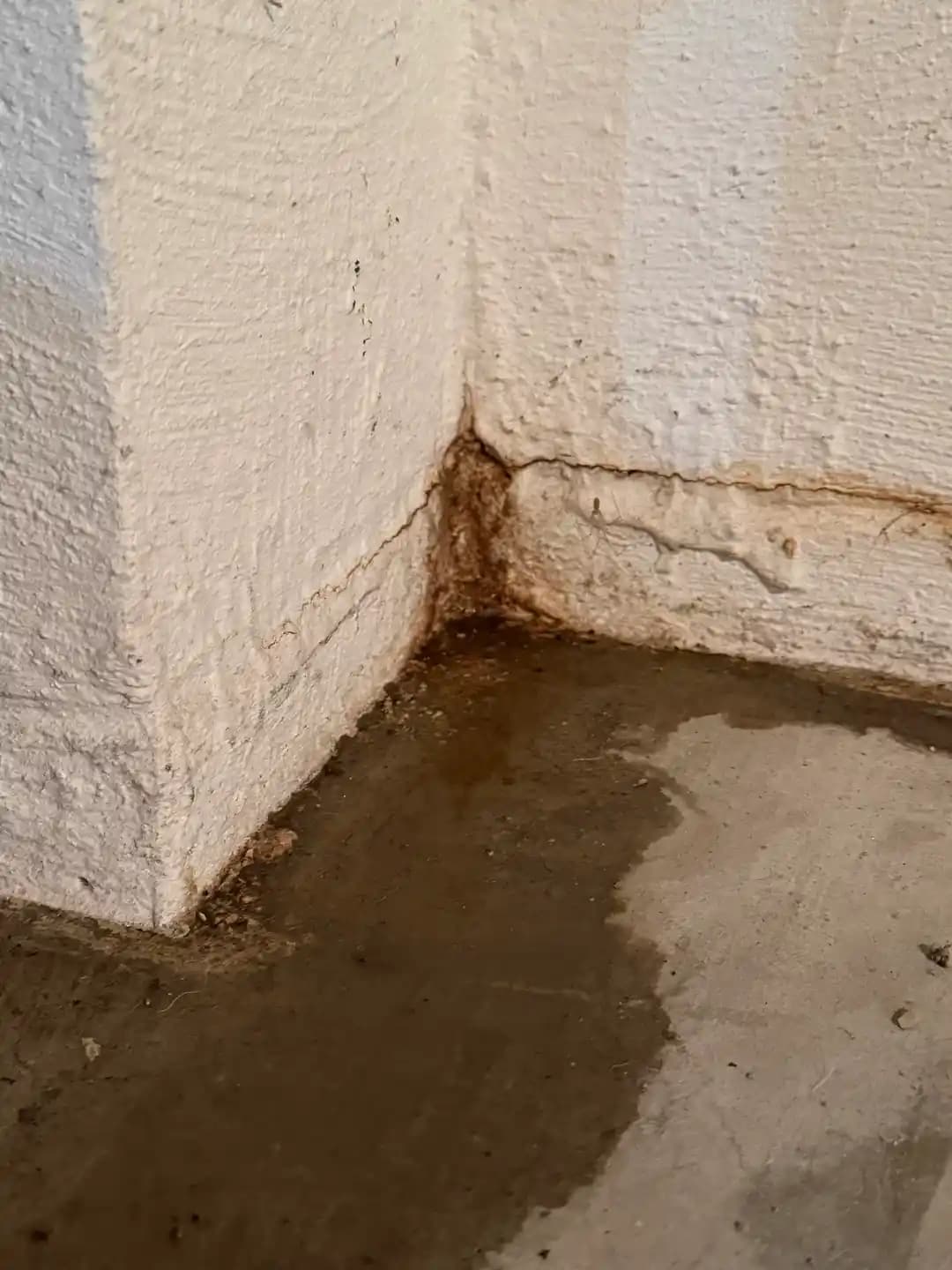 Ev Bodrumunda Su Sızıntısı Nedenleri ve Etkili Çözüm Yöntemleri