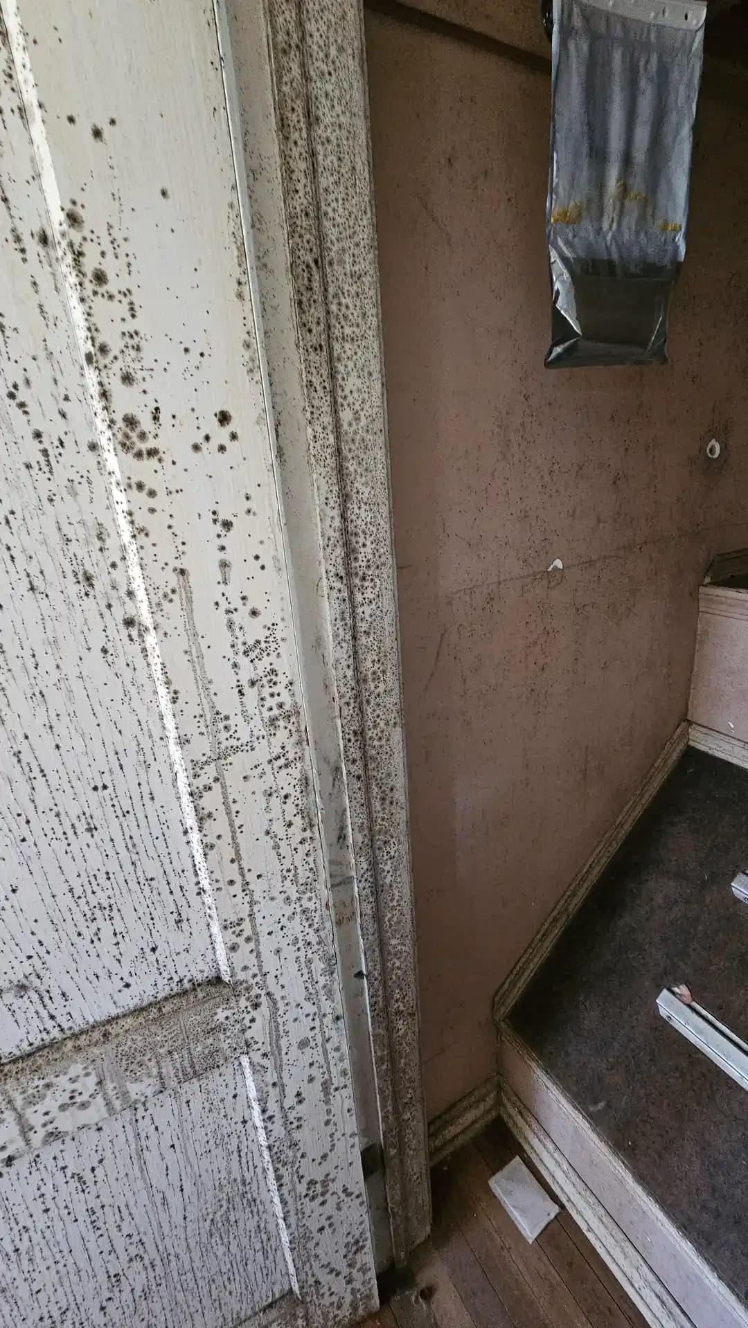 Evde Küf Problemi: Nem Kontrolü, Temizlik Yöntemleri ve Profesyonel Destek