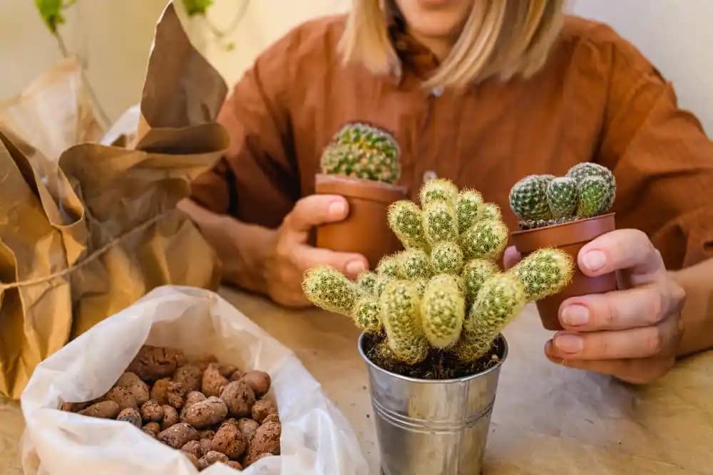 Evinizde Doğal ve Kalıcı Hoş Kokular Yaratmanın Etkili Yöntemleri