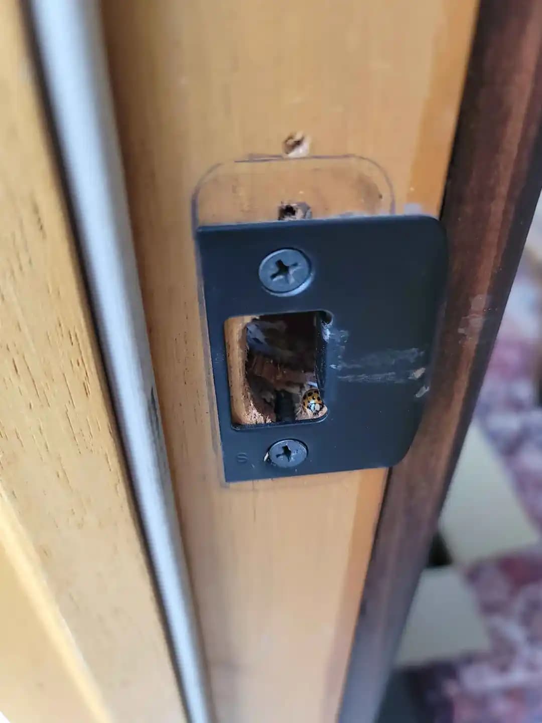 Kapı Karşılığı Montajında Yaygın Hatalar ve Etkili Onarım Yöntemleri