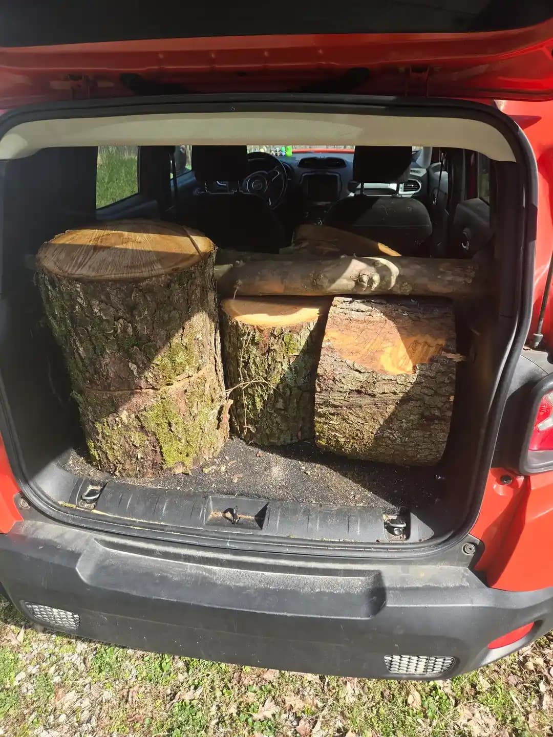 Kiraz Ağacı Ahşap Kurutma ve İşleme Süreci: Dayanıklılık ve Hazırlık Teknikleri