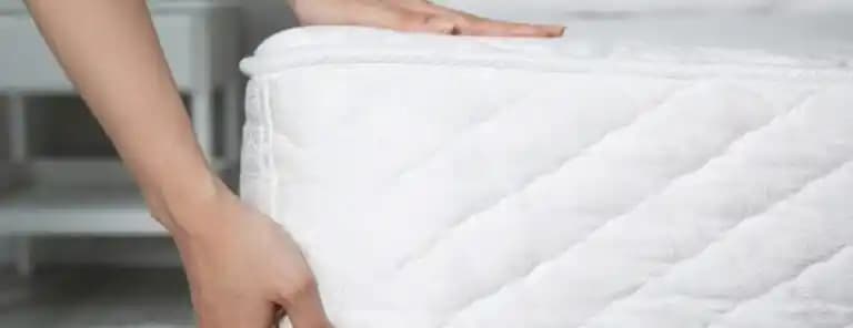 Kutuda Yatak Seçiminde Dayanıklılık, Konfor ve Destek Unsurlarının Önemi