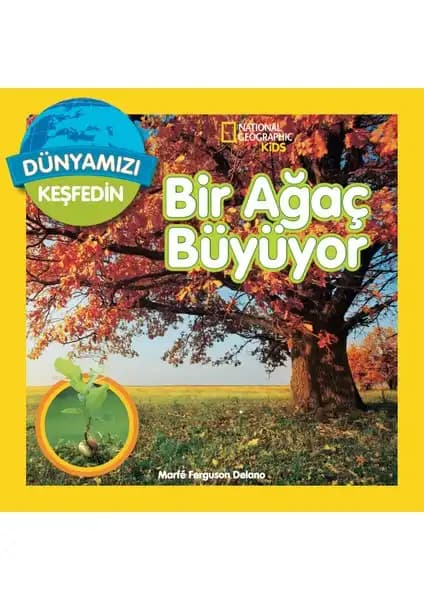Bir Ağaç Büyüyor: Çocuklar İçin Doğa ve Keşif Dolu Bir Kitap İncelemesi