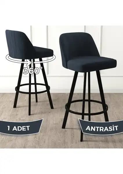 Canisa Concept Atex ve Fora Serisi Bar Sandalyeleri Karşılaştırması 1