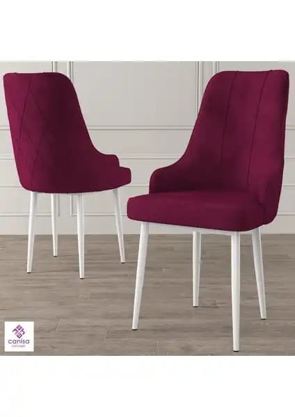Canisa Concept Trex Serisi Sandalyeler Karşılaştırması Beyaz ve Siyah Metal Ayaklı Modeller 1