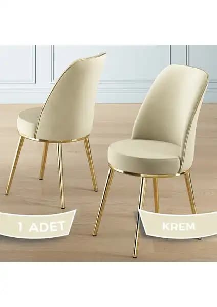 Canisa Pefa Serisi Modern Sandalyeler Karşılaştırması ve Özellikleri 1