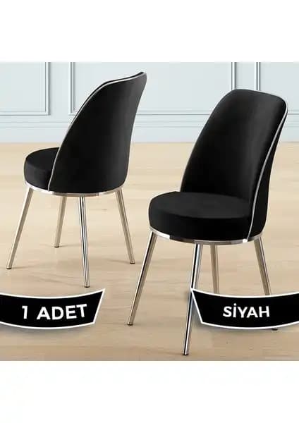 Canisa Pefa Serisi Modern Sandalyeler Karşılaştırması ve Özellikleri 2