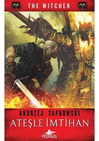 Ateşle İmtihan: The Witcher Serisi 5 Kitabı - Fantastik Dünya ve Derin Karakterler
