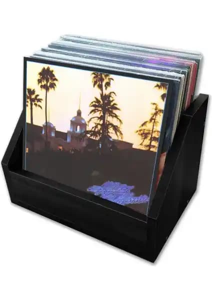 Çıtırtılı Sesler LP Plak Kasası Açık Dekoratif ve Fonksiyonel Saklama Çözümü