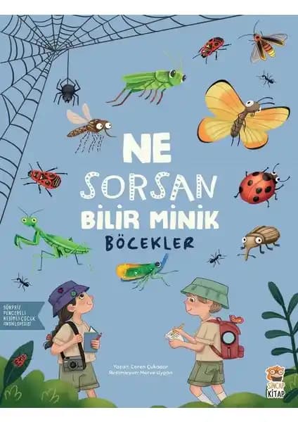 Çocuklar İçin Böcekler Hakkında Eğitici ve Eğlenceli Kitap Özeti ve Analizi