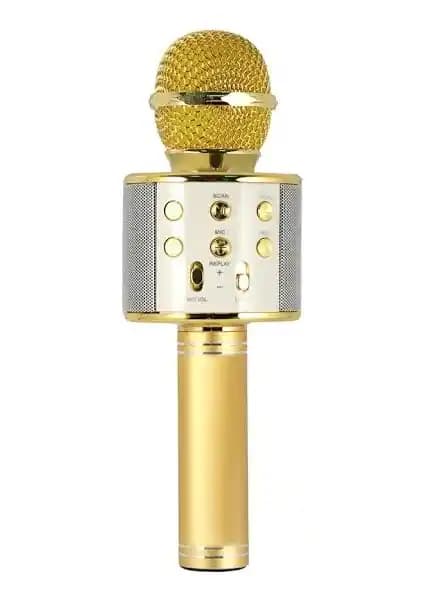 Evervox EVR KRK 02 Gold Karaoke Mikrofonu ile Müzik ve Eğlence Deneyimini Yükseltin