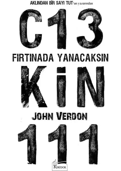 Fırtınada Yakalanacaksın: John Verdon'un Sürükleyici Polisiye Romanı Detayları