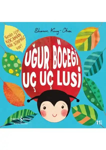 İş Bankası Kültür Yayınları Uğur Böceği Uç Uç Lusi Çocuk Hikayesi İncelemesi