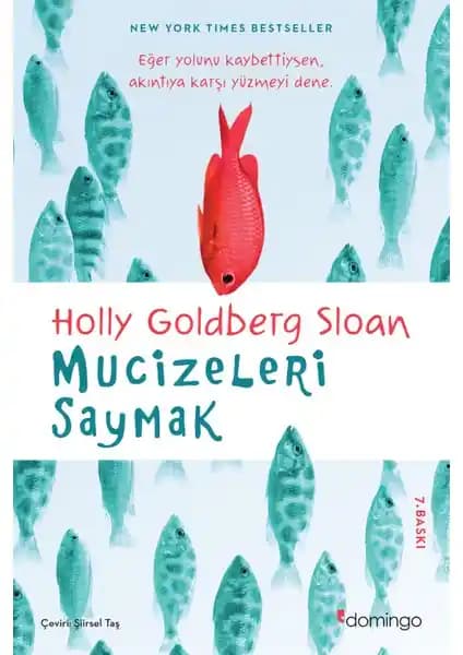 Mucizeleri Saymak: Willow Chance'in İlham Veren Gençlik Romanı