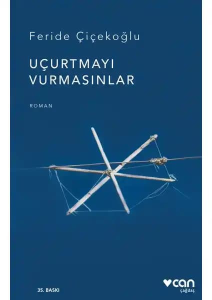 Uçurtmayı Vurmasınlar Feride Çiçekoğlu'nun 12 Eylül Dönemi Temalı Romanı İncelemesi