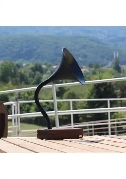 Vune Concept Deju Akustik Gramofon Siyah: Estetik ve Yüksek Performanslı Müzik Cihazı