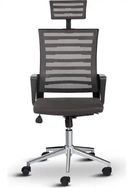 Asbir Capri Başlıklı Fileli Yönetici Koltuğu ile Ev Ofis Koltuğu Karşılaştırması