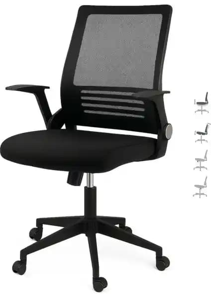 Aule B1 ve Seduna Skagen Karşılaştırması: Ergonomi ve Konfor Farklarına Odaklanma