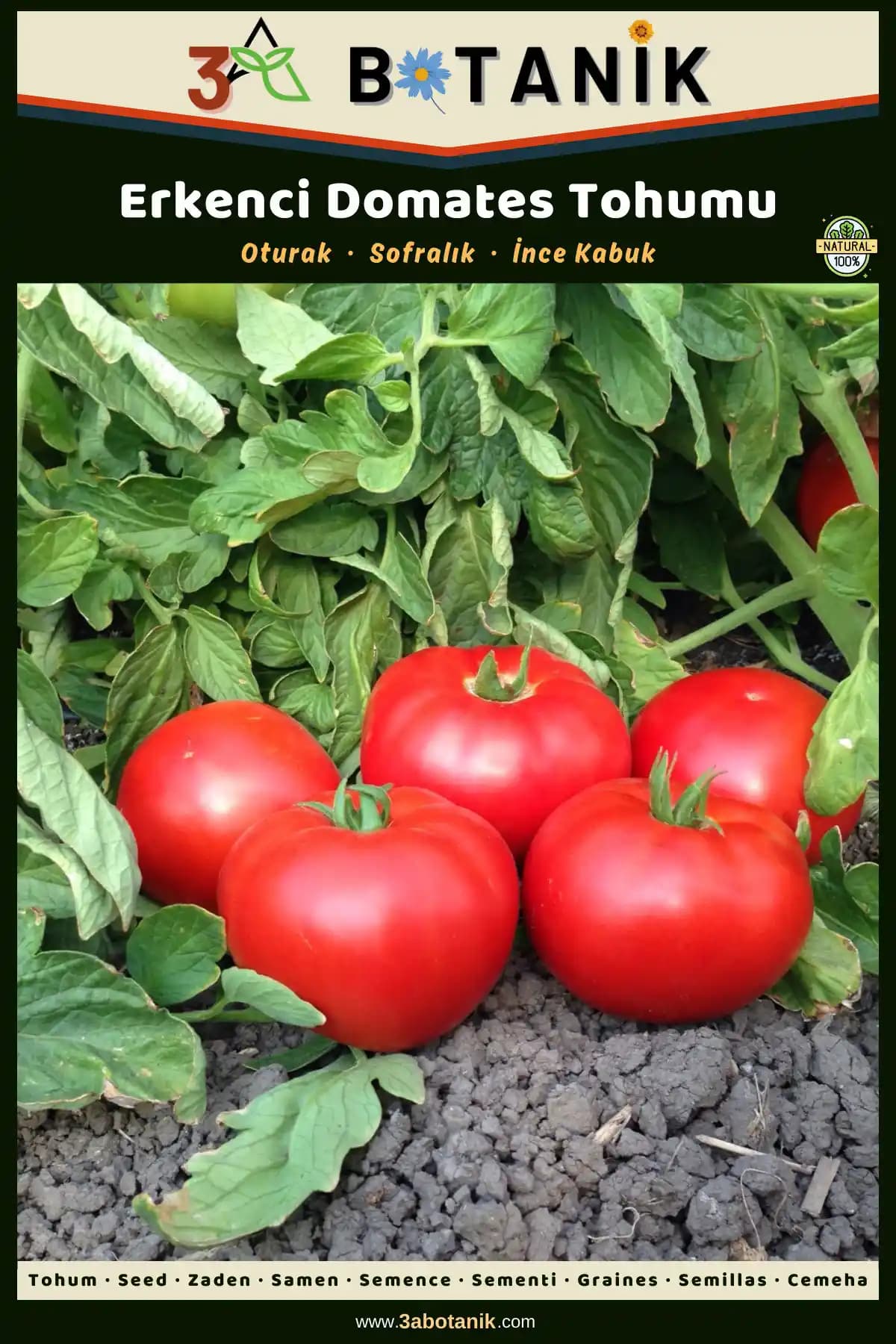 3A BOTANİK Erkenci Domates Tohumu ile güvenli çimlenme ve sürdürülebilir tarım ekim rehberi