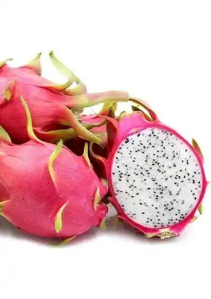 Berke Fidancılık Pitaya Ejder Meyvesi (İçi Beyaz Köklü) Fidesi: Özellikler ve Yetiştirme