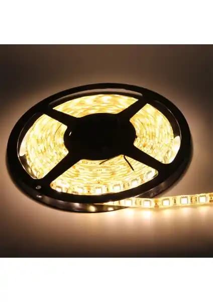 Cata Ct4481 İç Mekân 5 Metre Gün Işığı LED Şerit: Üç Çipli Dengeli Aydınlatma