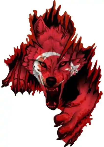 Kendinden yapışkanlı renkli etiket 10x7 cm: kolay uygulama ve iz bırakmayan dayanıklı