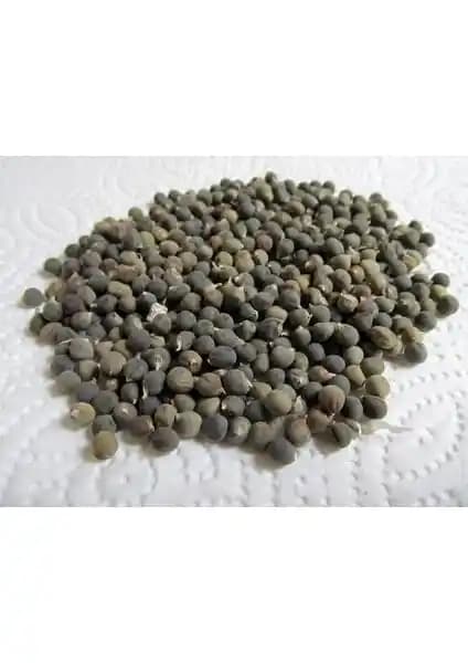 İbk İklim Bahçe Bamya Tohumu 1 kg: Doğal, İlaçsız ve Eklem Sağlığını Destekleyen Ürün