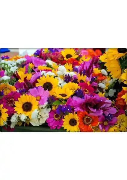 Arzuman Karışık Çiçekler Tohumu: Renkli ve Çeşitli Bahçe Bitkileri İçin Uygun Çözüm