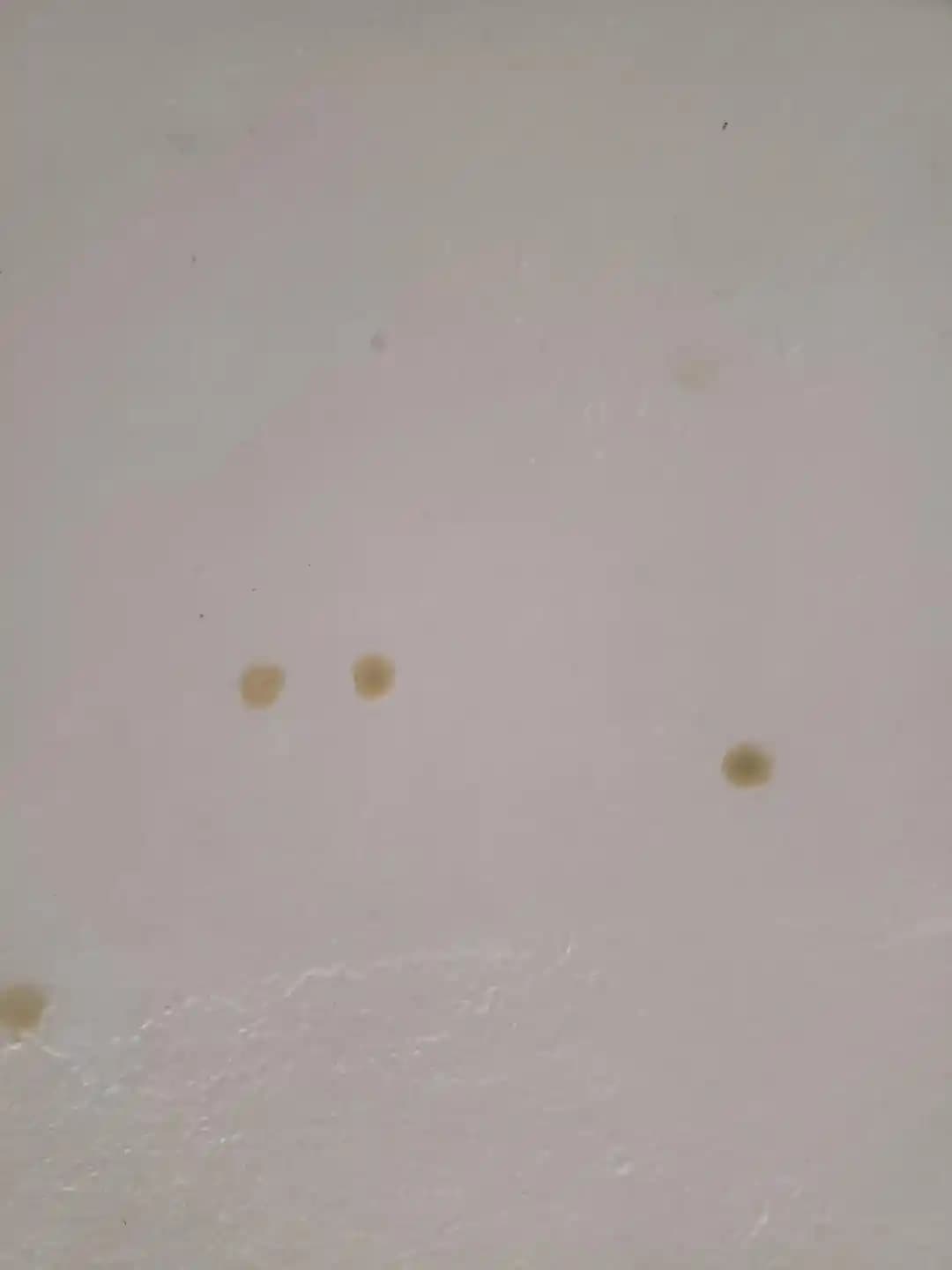 Banyoda Duş Sonrası Sarı Yoğuşma Damlasının Nedenleri ve Etkili Çözümleri