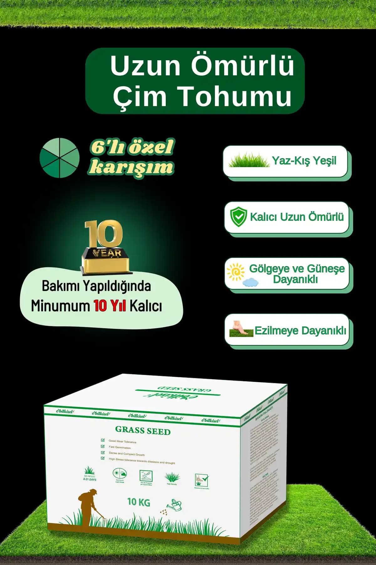 Çok Yıllık Çim Tohumu: Uzun Ömürlü ve Dayanıklı Bahçe Çimi Seçenekleri