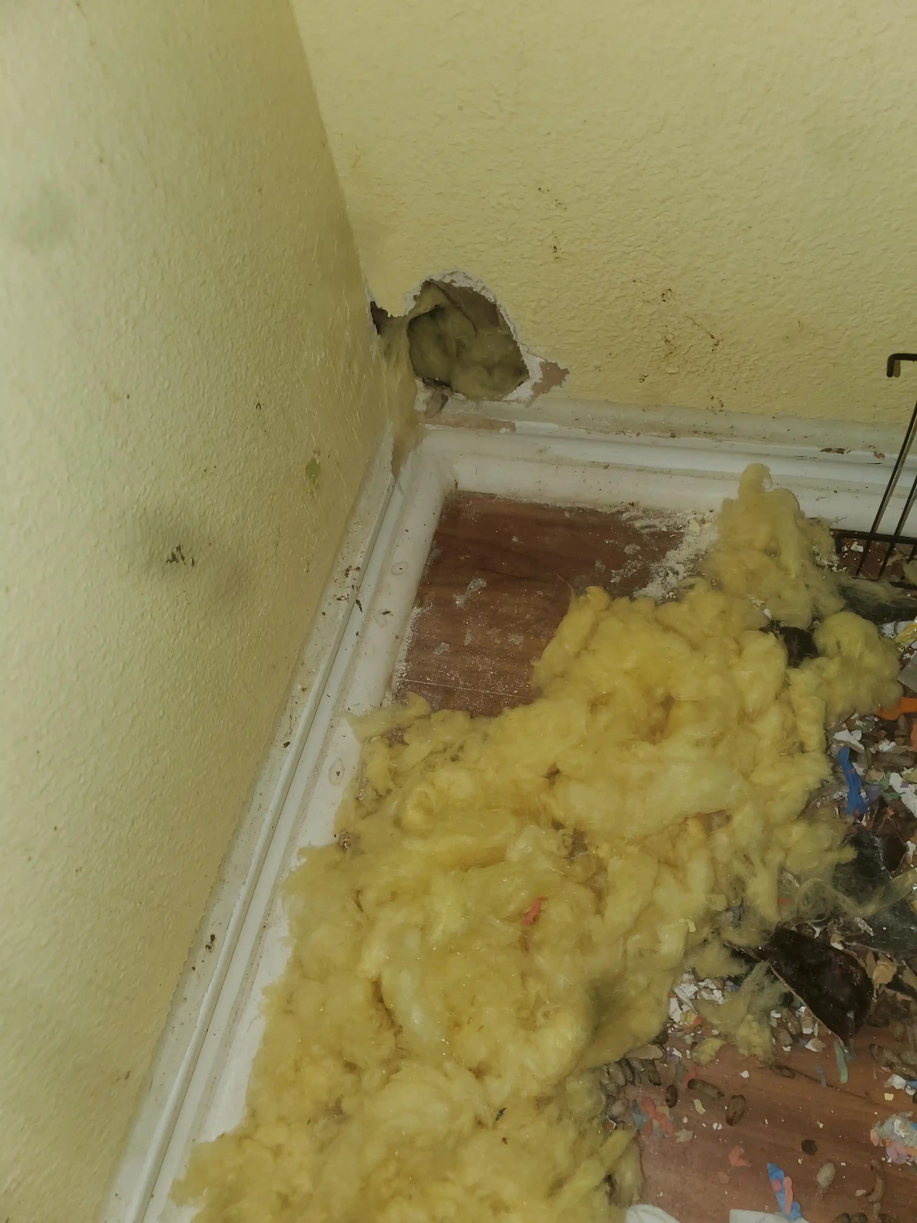 Duvar Onarımı ve Cam Yünü İzolasyonunun Yeniden Yerleştirilmesi İçin Temel Bilgiler ve İpuçları