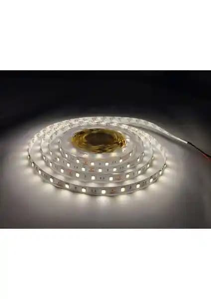Gün Işığı ve Beyaz Şerit LED Karşılaştırması: Performans ve Kullanım Özellikleri
