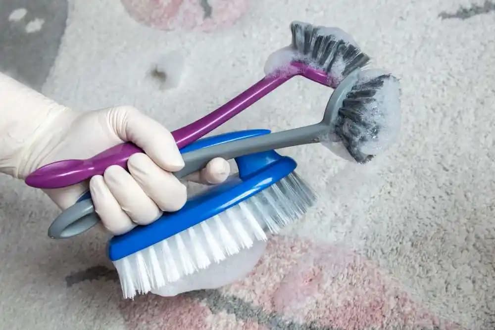 Halı Temizleyici Seçimi: Türler, Kullanım ve Bakım Önerileriyle Kapsamlı Rehber