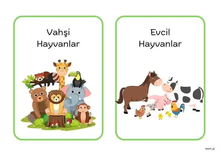 Kapı İzolasyonundaki Hasarların Hayvan Kaynaklı Nedenleri ve Çözüm Önerileri