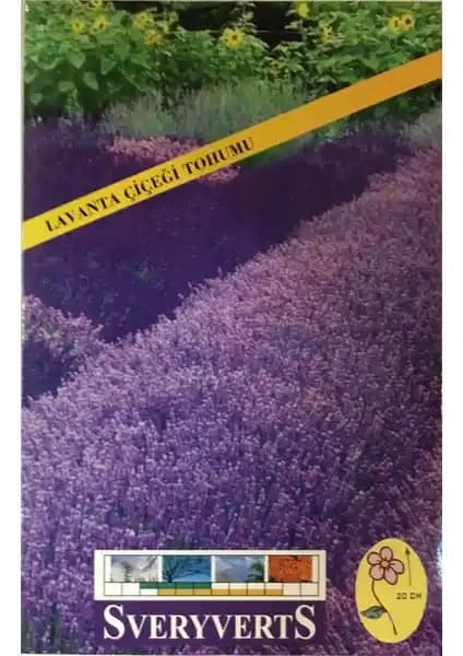 Lavanta Çiçeği Tohumu: Doğal Bahçe ve Saksı Bitkisi Yetiştirme Rehberi