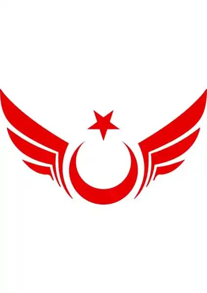 Quart Kanatlı Ay Yılz Sticker: Dayanıklı ve Kolay Uygulamalı Otomobil Aksesuarı