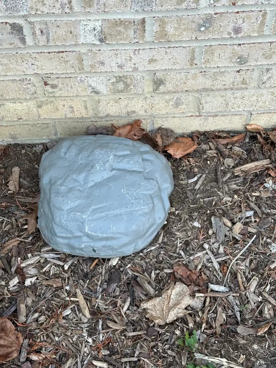 Sahte Kayalar ve İçlerindeki Fare Zehirlerinin Kullanımı ve Güvenlik Önlemleri