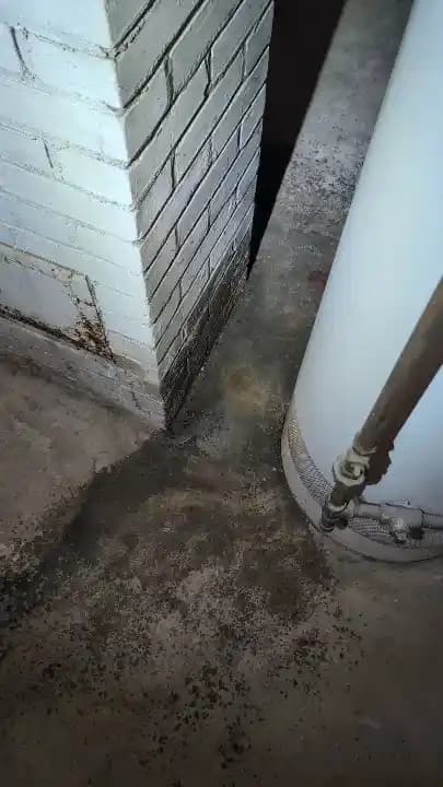 Su Isıtıcısı Baca Bağlantısından Su Sızıntısı: Nedenleri, Riskleri ve Çözüm Yolları