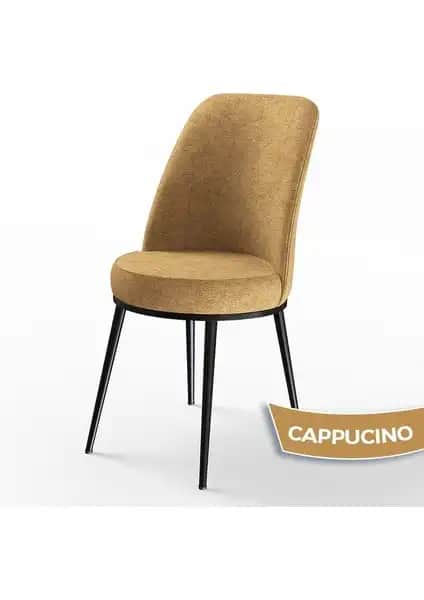 Canisa Concept DEXA Serisi Modern ve Dayanıklı Mutfak Sandalyesi Özellikleri ve Kullanım Avantajları