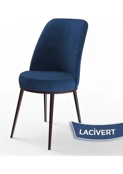 Canisa Concept DEXA Serisi Modern ve Dayanıklı Mutfak Sandalyesi Ürün Tanıtımı ve Özellikleri