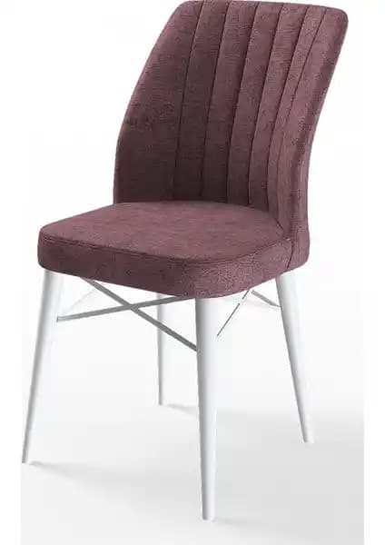 Canisa Concept Flex Serisi Gürgen Ayaklı Sandalyeler Modern ve Dayanıklı Oturma Çözümü