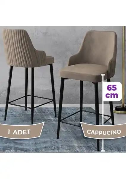 Canisa Concept Tera Serisi Mutfak ve Bar Sandalyesi Şık ve Dayanıklı Tasarım Özellikleri